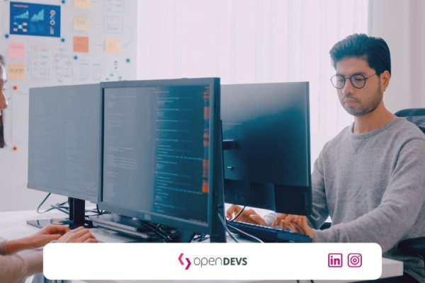Angestellt oder Freelancer als Software Dev openDEVS Softwareprojekte 2026