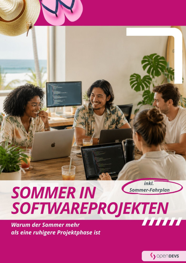 Sommer in Softwareprojekten Deckblatt