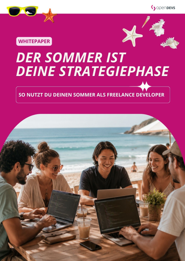 Sommerstrategie fuer Software Freelancer Deckblatt