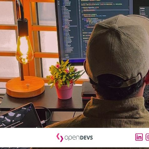 Technische Due Diligence fuer Software Freelancer openDEVS