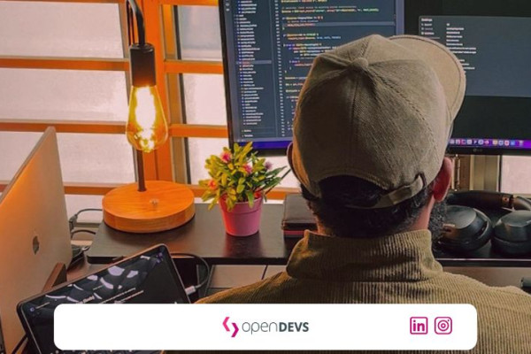 Technische Due Diligence fuer Software Freelancer openDEVS