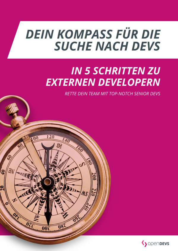 Whitepaper openDEVS Dein Kompass fuer die Suche nach Devs